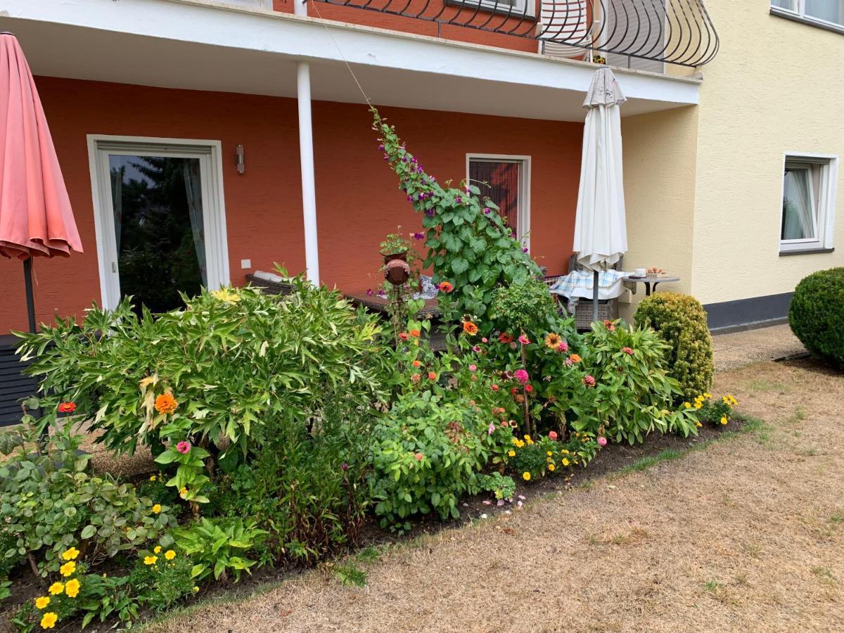Gruene Oase Apartment Kottenheim Ngoại thất bức ảnh
